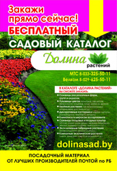 Саженцы,  цветы,  семена. Бесплатная доставка по Минску