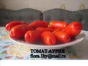 Семена томатов 35 сортов почтой по РБ